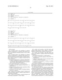 KANAMYCIN ANTISENSE NUCLEIC ACID FOR THE TREATMENT OF CANCER diagram and image