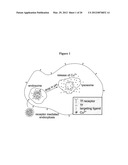 SYNTHESIS AND USE OF THERAPEUTIC METAL ION CONTAINING POLYMERIC PARTICLES diagram and image