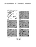 FORMS OF RIFAXIMIN AND USES THEREOF diagram and image