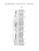 Expression of FABP4 and Other Genes Associated with Bladder Cancer     Progression diagram and image