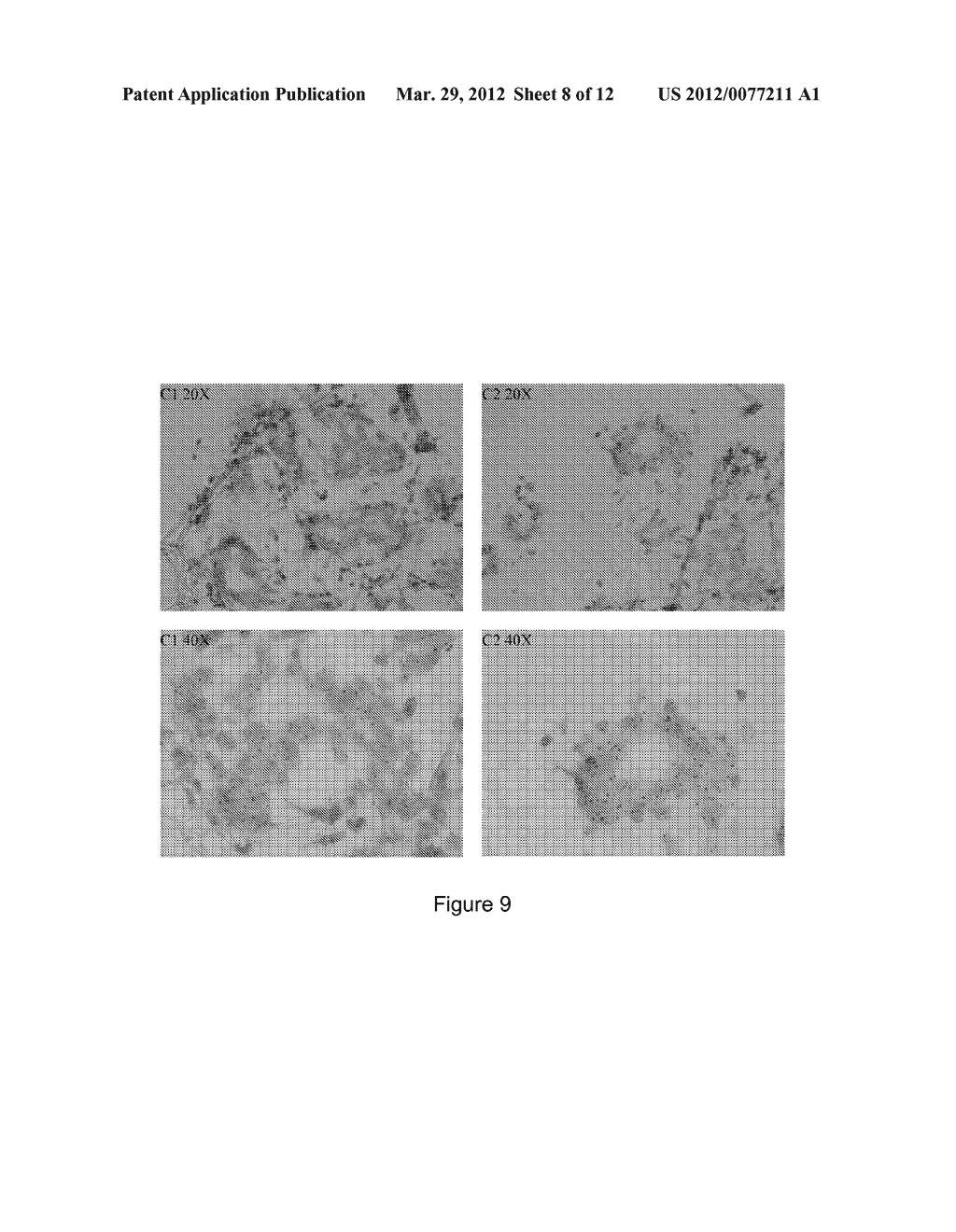 STABLE COMPOSITIONS COMPRISING CHROMOGENIC COMPOUNDS AND METHODS OF USE - diagram, schematic, and image 09