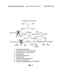 Thermophilic Organisms For Conversion Of Lignocellulosic Biomass To     Ethanol diagram and image