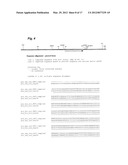 Thermophilic Organisms For Conversion Of Lignocellulosic Biomass To     Ethanol diagram and image