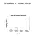 Methods and Devices for Capturing Circulating Tumor Cells diagram and image