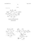 PROCESSING BIOMASS diagram and image