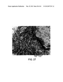 PROCESSING BIOMASS diagram and image