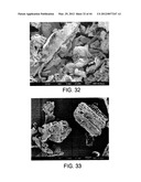 PROCESSING BIOMASS diagram and image