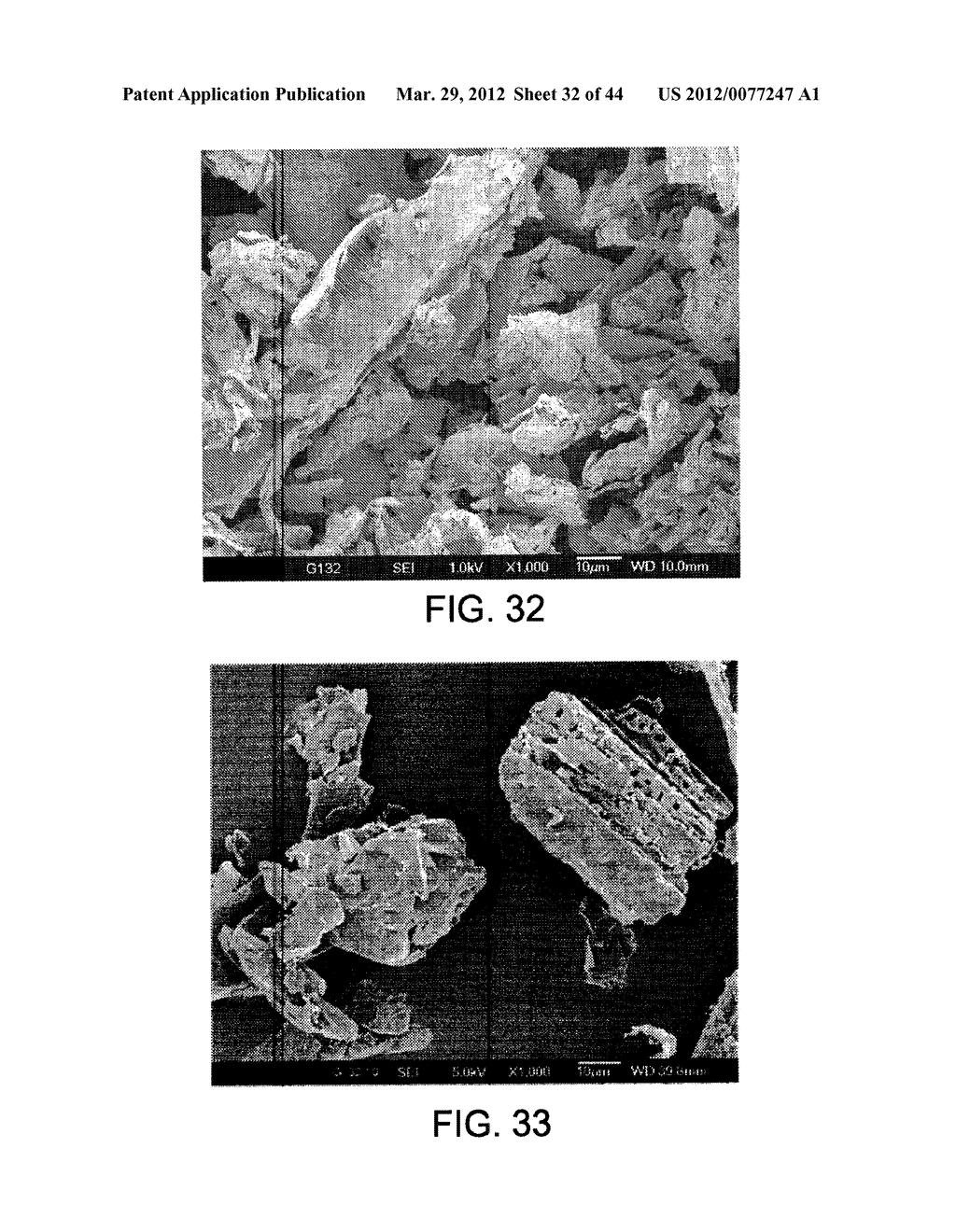 PROCESSING BIOMASS - diagram, schematic, and image 33