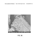 PROCESSING BIOMASS diagram and image