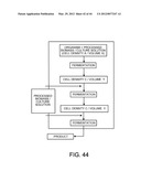 PROCESSING BIOMASS diagram and image