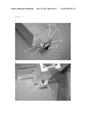 HIVE-MOUNTED DISSEMINATOR DEVICE diagram and image