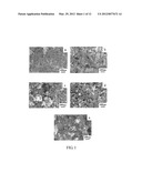 Porous Catalyst for a Fuel Cell and Method for Producing the Catalyst     Thereof diagram and image