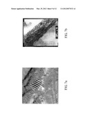 Porous Catalyst for a Fuel Cell and Method for Producing the Catalyst     Thereof diagram and image