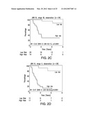 PROGNOSTIC AND PREDICTIVE GENE SIGNATURE FOR NON-SMALL CELL LUNG CANCER     AND ADJUVANT CHEMOTHERAPY diagram and image