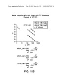 PROGNOSTIC AND PREDICTIVE GENE SIGNATURE FOR NON-SMALL CELL LUNG CANCER     AND ADJUVANT CHEMOTHERAPY diagram and image