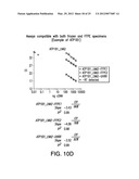 PROGNOSTIC AND PREDICTIVE GENE SIGNATURE FOR NON-SMALL CELL LUNG CANCER     AND ADJUVANT CHEMOTHERAPY diagram and image