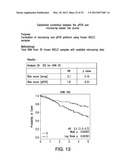 PROGNOSTIC AND PREDICTIVE GENE SIGNATURE FOR NON-SMALL CELL LUNG CANCER     AND ADJUVANT CHEMOTHERAPY diagram and image