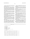 PROGNOSTIC AND PREDICTIVE GENE SIGNATURE FOR NON-SMALL CELL LUNG CANCER     AND ADJUVANT CHEMOTHERAPY diagram and image