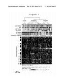 TARGETS IN BREAST CANCER FOR PROGNOSIS OR THERAPY diagram and image