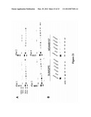 TARGETS IN BREAST CANCER FOR PROGNOSIS OR THERAPY diagram and image