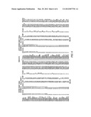 Identification of Molecular Sequence Signatures and Methods Involving the     Same diagram and image