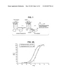 METHOD FOR ASSAYING PROTEIN-PROTEIN INTERACTION diagram and image