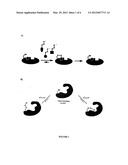 Novel Ligands and Libraries of Ligands diagram and image