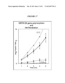 INFERTILITY ASSOCIATED DEFB-126 DELETION POLYMORPHISM diagram and image