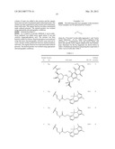 Ladder-Frame Polyether Conjugates diagram and image