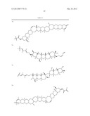 Ladder-Frame Polyether Conjugates diagram and image