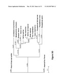 METHOD AND COMPOSITION USING A DUAL SPECIFICITY PROTEIN TYROSINE     PHOSPHATASE AS AN ANTIMALARIAL DRUG TARGET diagram and image