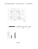 METHOD AND COMPOSITION USING A DUAL SPECIFICITY PROTEIN TYROSINE     PHOSPHATASE AS AN ANTIMALARIAL DRUG TARGET diagram and image