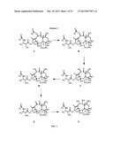 9, 10-Alpha, Alpha-OH-Taxane Analogs and Methods for Production Thereof diagram and image