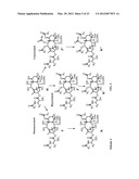 9, 10-Alpha, Alpha-OH-Taxane Analogs and Methods for Production Thereof diagram and image