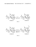 9, 10-Alpha, Alpha-OH-Taxane Analogs and Methods for Production Thereof diagram and image