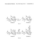 9, 10-Alpha, Alpha-OH-Taxane Analogs and Methods for Production Thereof diagram and image