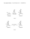 9, 10-Alpha, Alpha-OH-Taxane Analogs and Methods for Production Thereof diagram and image