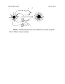 PREPARATION OF FUNCTIONAL STAR MACROMOLECULES diagram and image