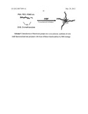 PREPARATION OF FUNCTIONAL STAR MACROMOLECULES diagram and image