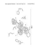 Structure Based Design Of Inhibitors Of Human Thymidylate Synthase diagram and image