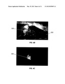 IMAGING METHODS AND COMPOSITIONS COMPRISING FLUORESCENT DYES ASSOCIATED     WITH VIRAL COMPONENTS FOR NERVE IMAGING diagram and image