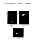 IMAGING METHODS AND COMPOSITIONS COMPRISING FLUORESCENT DYES ASSOCIATED     WITH VIRAL COMPONENTS FOR NERVE IMAGING diagram and image