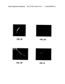 IMAGING METHODS AND COMPOSITIONS COMPRISING FLUORESCENT DYES ASSOCIATED     WITH VIRAL COMPONENTS FOR NERVE IMAGING diagram and image