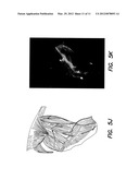 IMAGING METHODS AND COMPOSITIONS COMPRISING FLUORESCENT DYES ASSOCIATED     WITH VIRAL COMPONENTS FOR NERVE IMAGING diagram and image