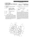 ABSORBABLE FASTENER AND APPLYING APPARATUS diagram and image