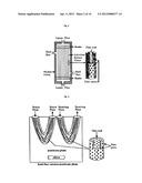 BIOMIMETIC MEMBRANES AND USES THEREOF diagram and image