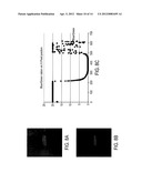 MOBILE PHONE HYPERSPECTRAL IMAGER WITH SINGLE-FRAME SPATIAL, SPECTRAL AND     POLARIZATION INFORMATION diagram and image