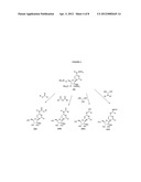 2 -C-METHYL-RIBOFURANOSYL CYTIDINE PRODRUGS, PHARMACEUTICAL COMPOSITIONS,     AND USES THEREOF diagram and image