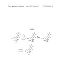 2 -C-METHYL-RIBOFURANOSYL CYTIDINE PRODRUGS, PHARMACEUTICAL COMPOSITIONS,     AND USES THEREOF diagram and image