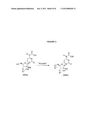 2 -C-METHYL-RIBOFURANOSYL CYTIDINE PRODRUGS, PHARMACEUTICAL COMPOSITIONS,     AND USES THEREOF diagram and image